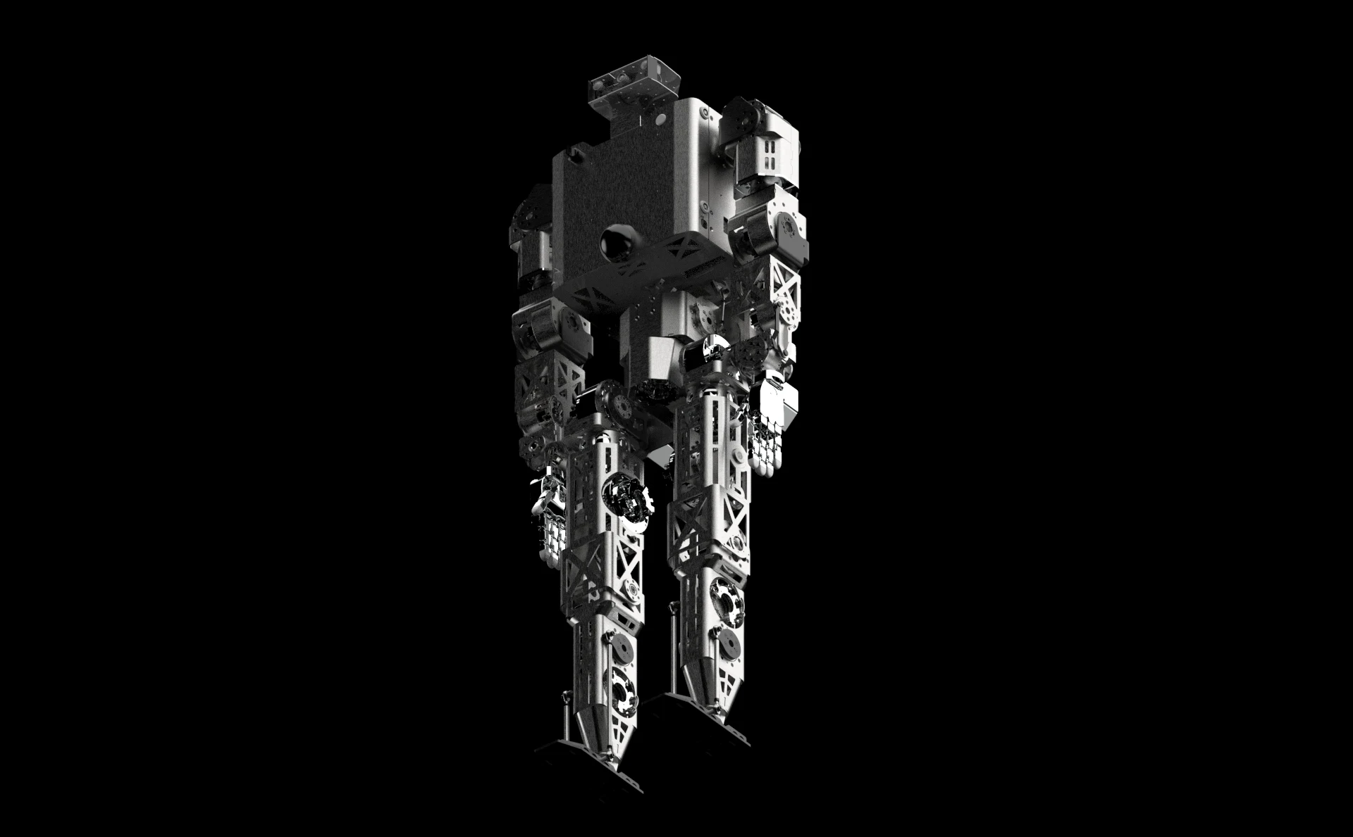 Minerva Roger