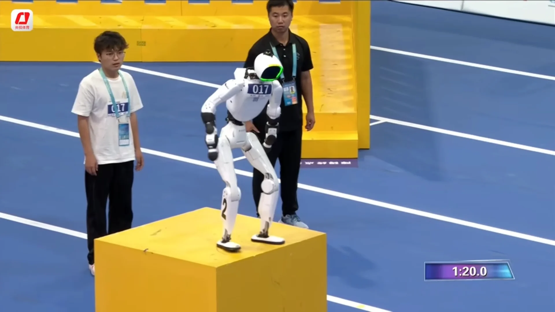 Robot Warrior Challenge obstacle course