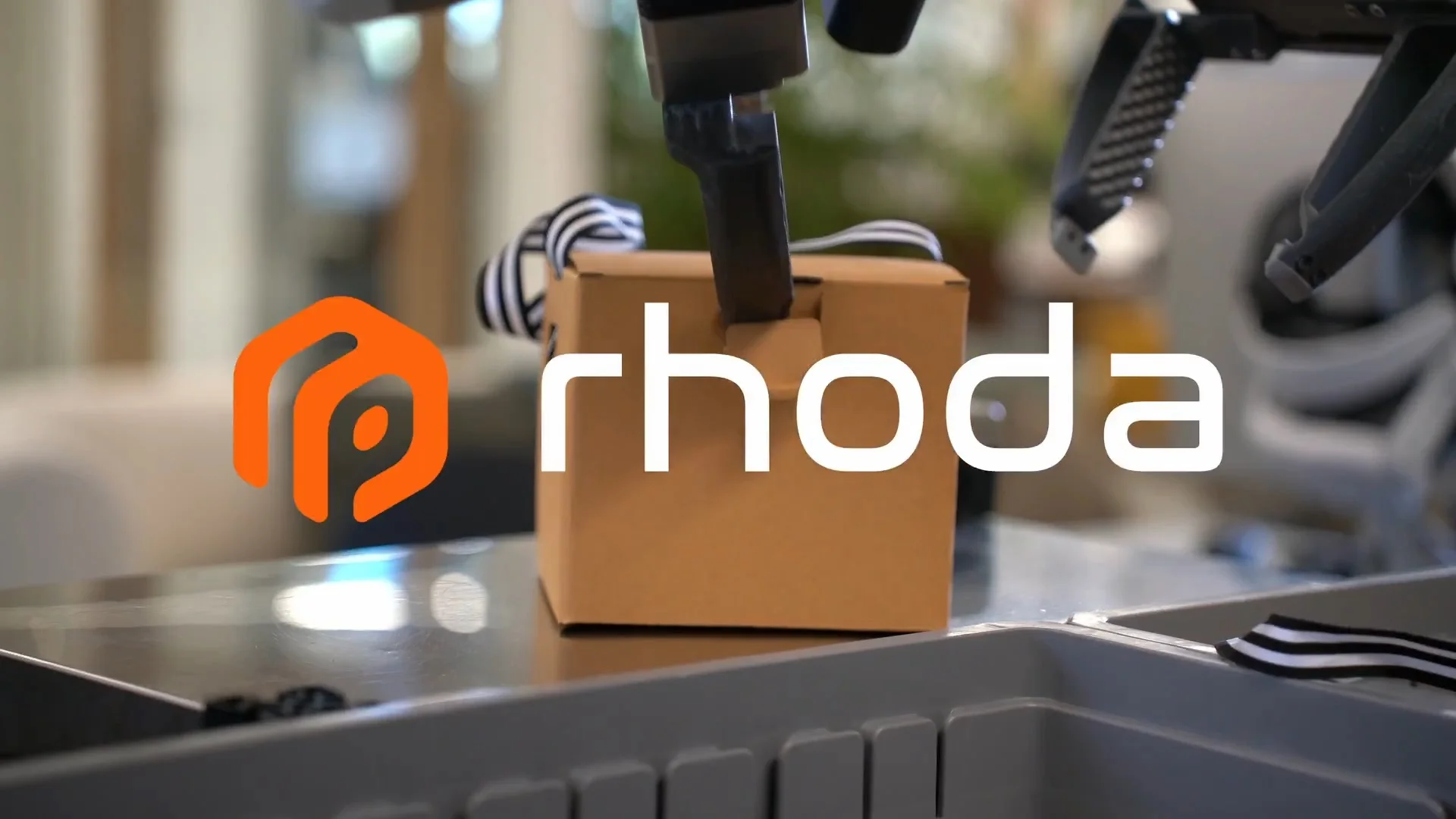 Dogsmith Rhoda Rhoda AI Breaks Stealth: Jagdeep Singh Teases